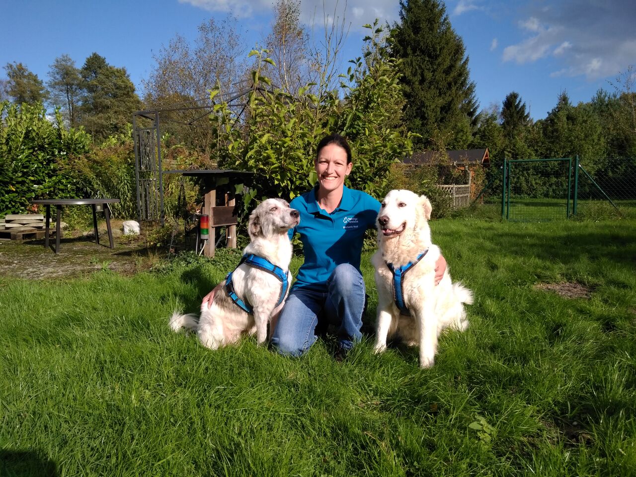 Hundetrainerfortbildung